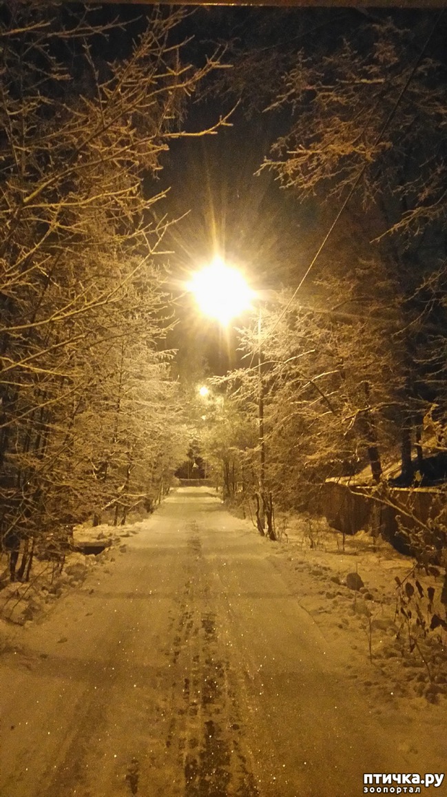 ���� 1: ��������������. ������ ���� ������� � �������� - ����.