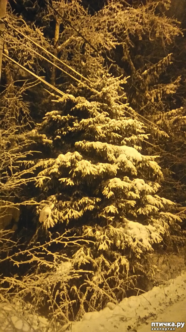 ���� 2: ��������������. ������ ���� ������� � �������� - ����.