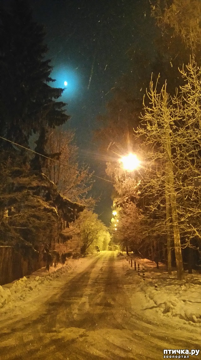 ���� 3: ��������������. ������ ���� ������� � �������� - ����.