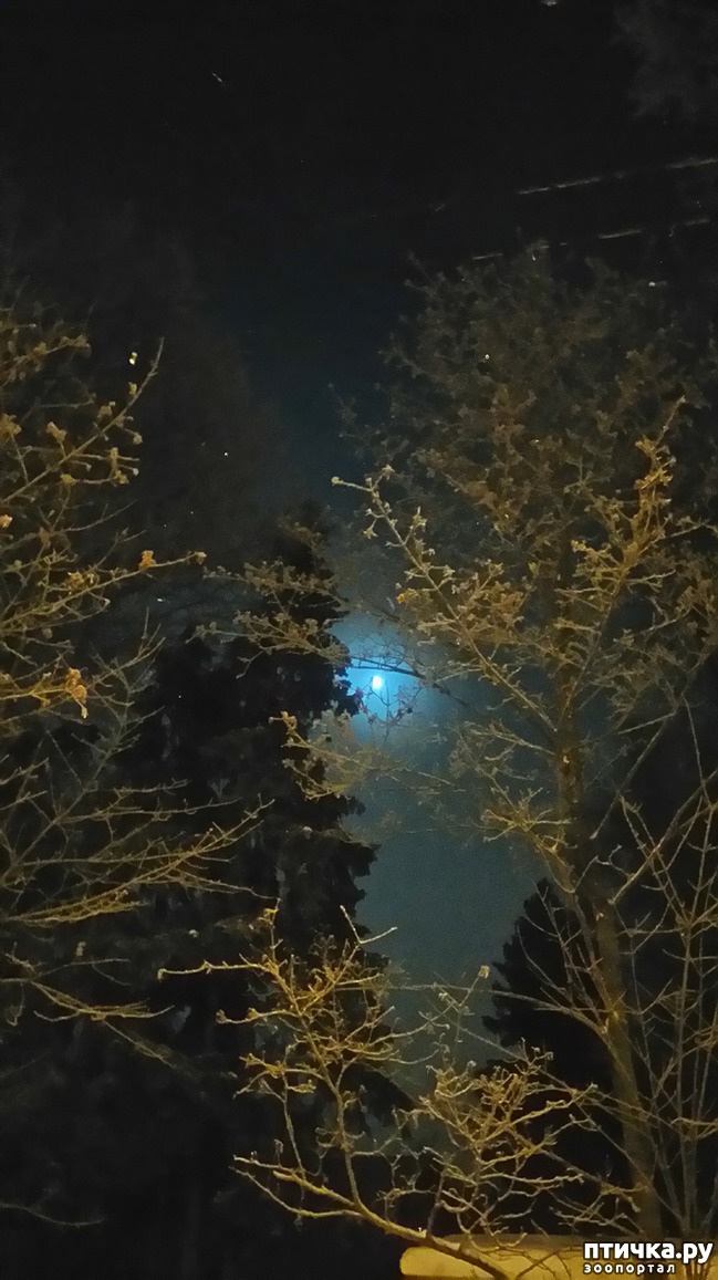 ���� 5: ��������������. ������ ���� ������� � �������� - ����.