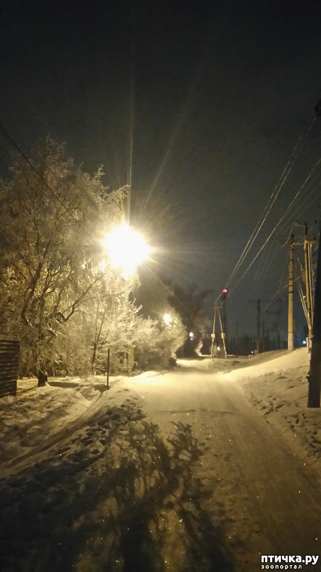 ���� 6: ��������������. ������ ���� ������� � �������� - ����.