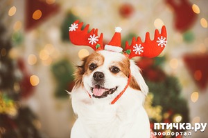 ����: ��� �������� �������� ������� �� ����� ���?))