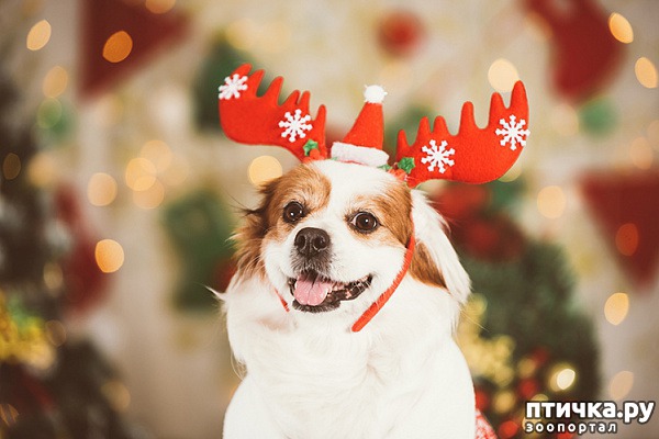 ���� 1: ��� �������� �������� ������� �� ����� ���?))