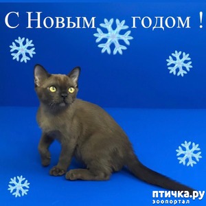 ����: � �����������!!!