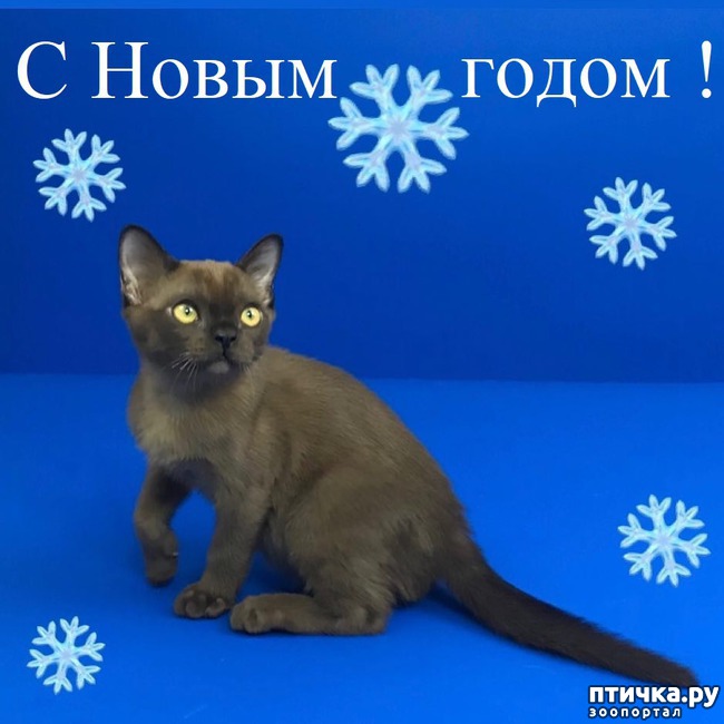 ���� 1: � �����������!!!