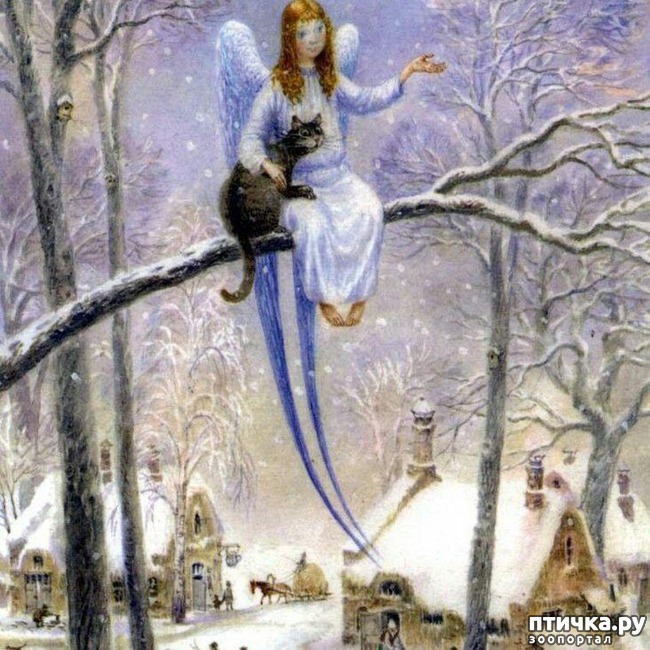 ���� 1: ����� � ���