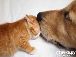 ����: �� ����� �������� �������� ����� ������������ ����� )