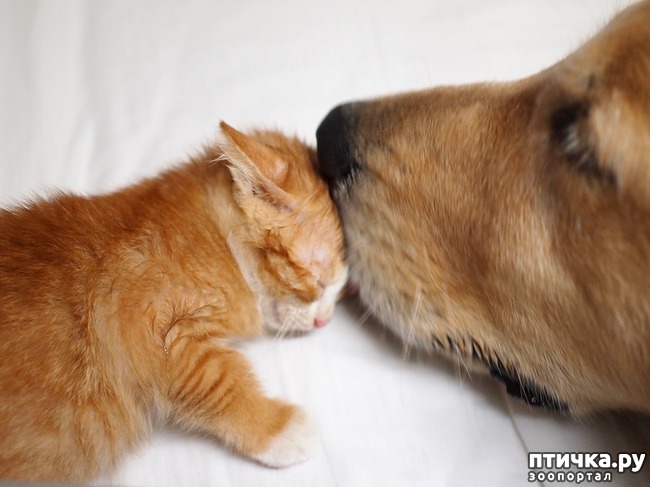 ���� 1: �� ����� �������� �������� ����� ������������ ����� )