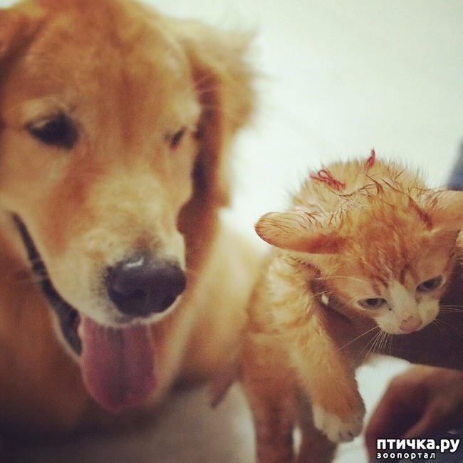 ���� 3: �� ����� �������� �������� ����� ������������ ����� )