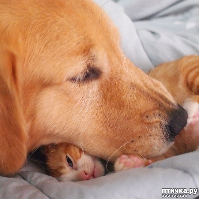 ���� 4: �� ����� �������� �������� ����� ������������ ����� )