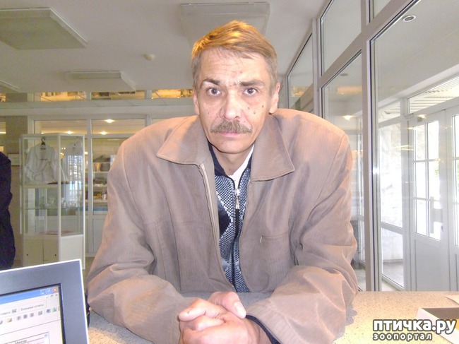 ���� 1: ��������� ���.