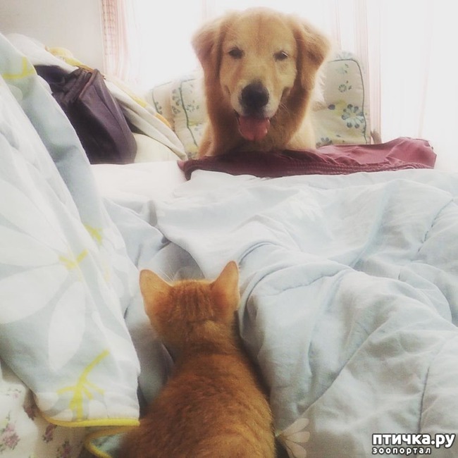 ���� 5: �� ����� �������� �������� ����� ������������ ����� )