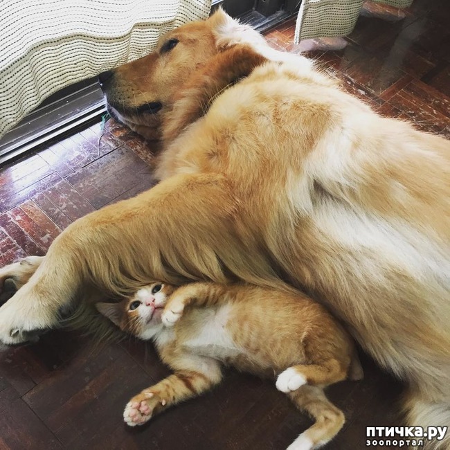 ���� 6: �� ����� �������� �������� ����� ������������ ����� )