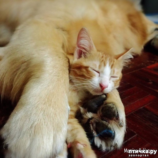 ���� 7: �� ����� �������� �������� ����� ������������ ����� )