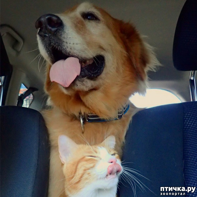 ���� 8: �� ����� �������� �������� ����� ������������ ����� )