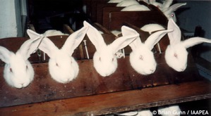 ����: ������� ������� �����! ������������ �� ��������