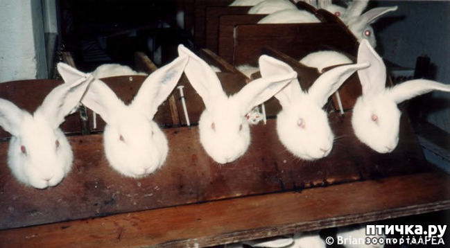 ���� 1: ������� ������� �����! ������������ �� ��������