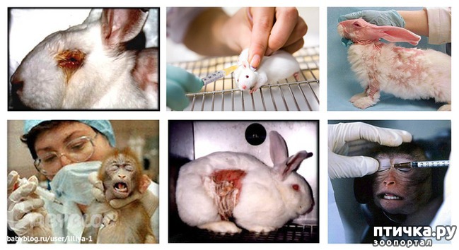 ���� 2: ������� ������� �����! ������������ �� ��������