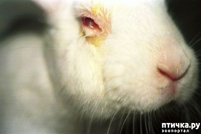 ���� 3: ������� ������� �����! ������������ �� ��������