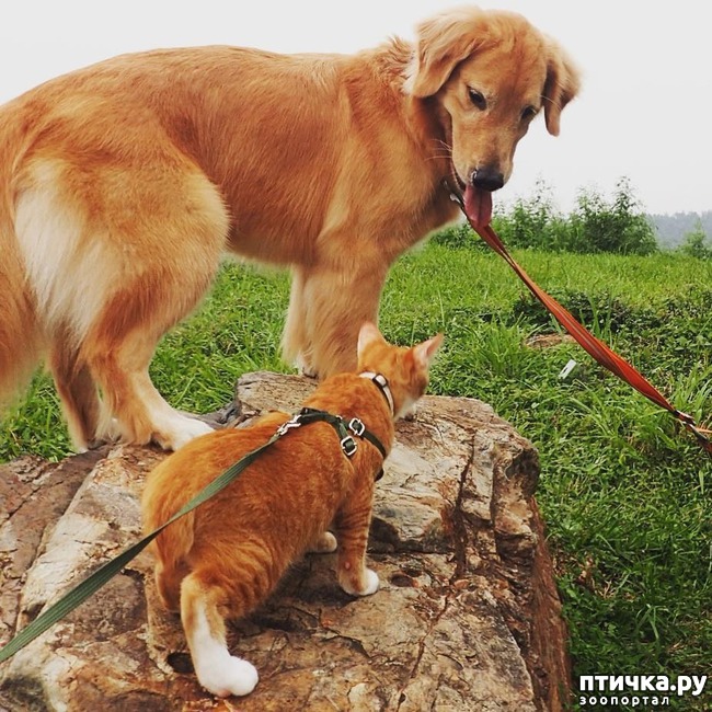 ���� 9: �� ����� �������� �������� ����� ������������ ����� )