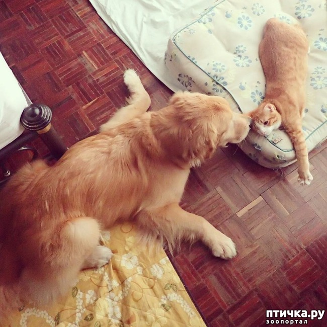 ���� 11: �� ����� �������� �������� ����� ������������ ����� )