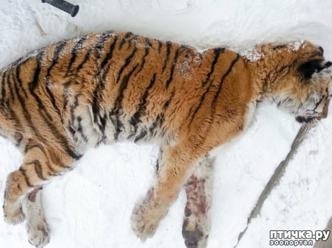 ���� 1: ������� ���������� �� �������... �� ��� ������ �� ��������� � ������...