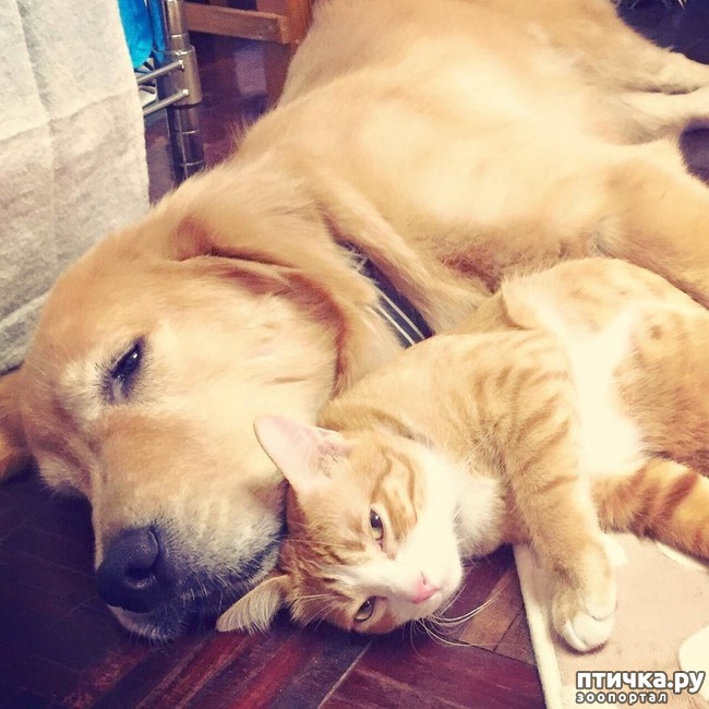 ���� 12: �� ����� �������� �������� ����� ������������ ����� )