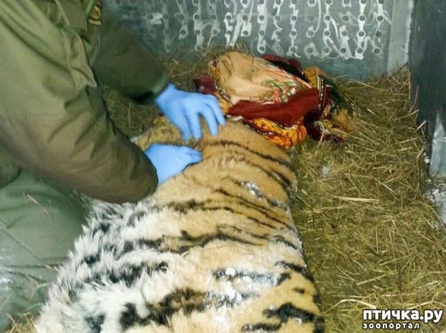 ���� 2: ������� ���������� �� �������... �� ��� ������ �� ��������� � ������...