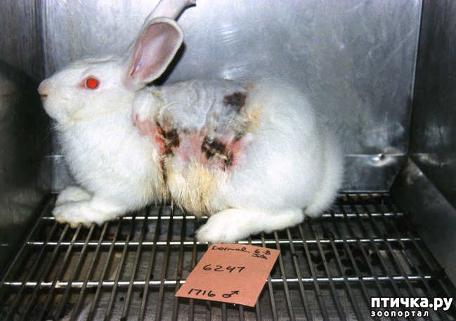 ���� 4: ������� ������� �����! ������������ �� ��������