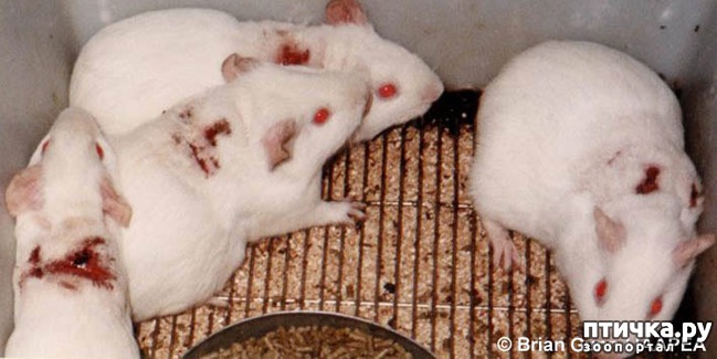 ���� 6: ������� ������� �����! ������������ �� ��������