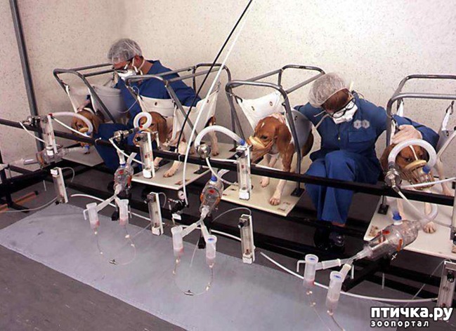 ���� 8: ������� ������� �����! ������������ �� ��������