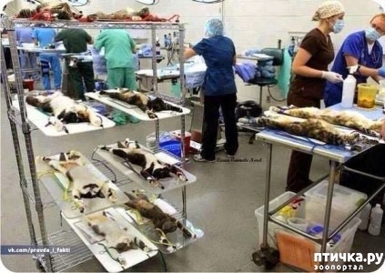 ���� 9: ������� ������� �����! ������������ �� ��������