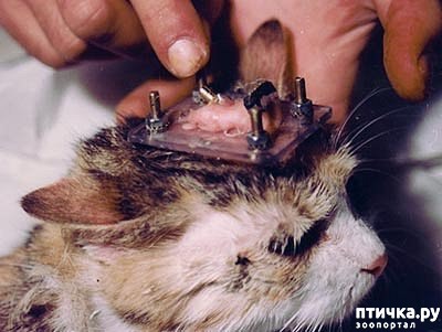 ���� 10: ������� ������� �����! ������������ �� ��������