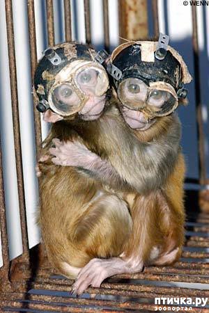 ���� 11: ������� ������� �����! ������������ �� ��������