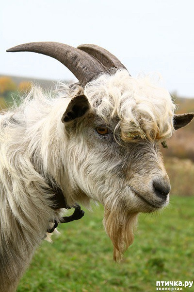 ���� 1: ���������� �������