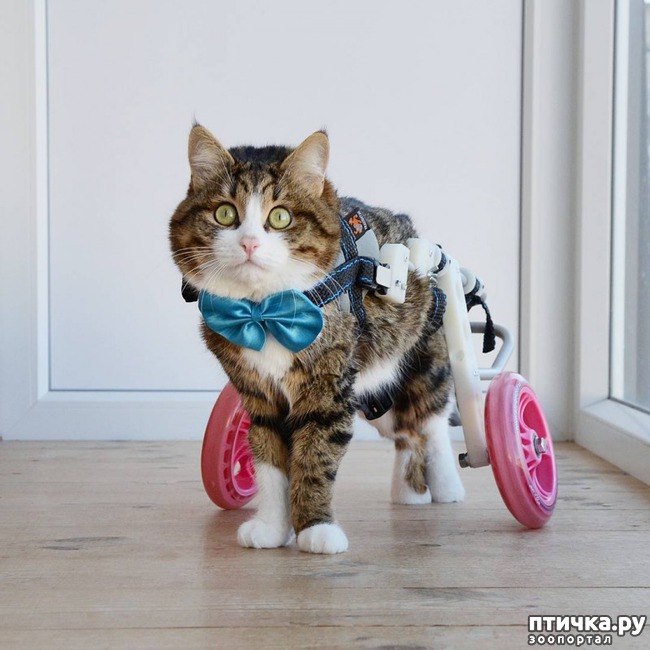 ���� 1: ���-������� ���� ��������� ��������� ������ ������������ �����