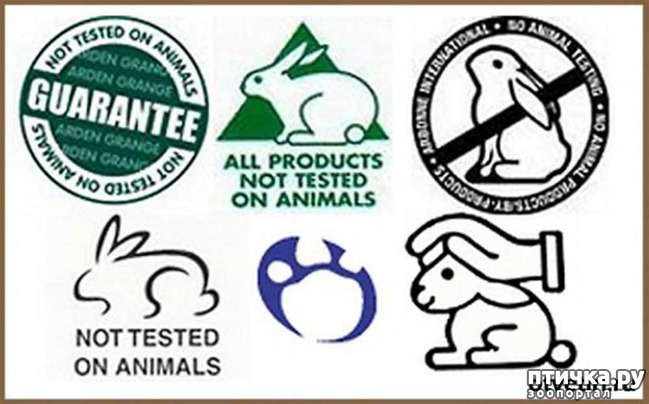 ���� 13: ������� ������� �����! ������������ �� ��������