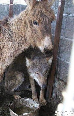 ����: � ����� ��������� ������))) ���� � ������ �����...