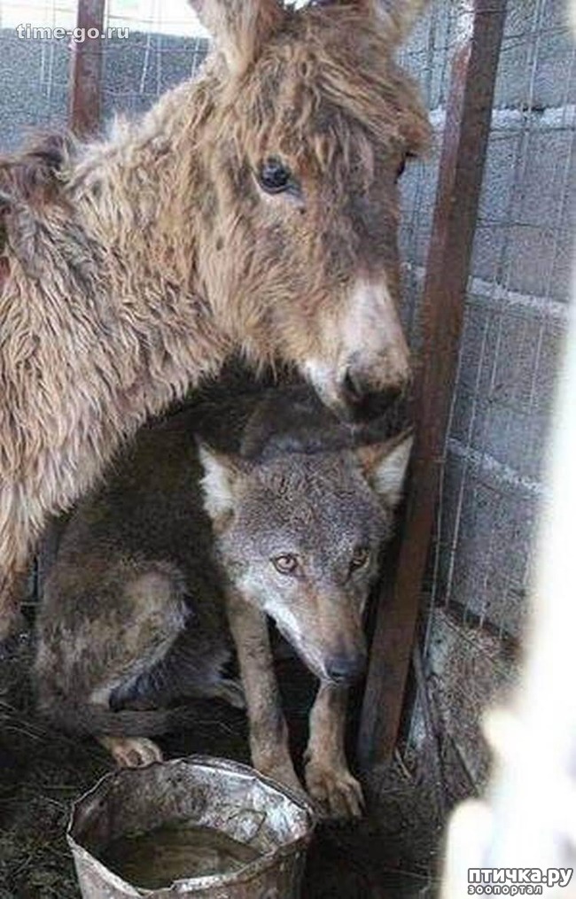 ���� 1: � ����� ��������� ������))) ���� � ������ �����...