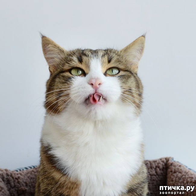 ���� 2: ���-������� ���� ��������� ��������� ������ ������������ �����