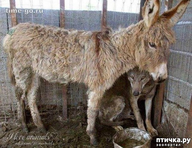 ���� 2: � ����� ��������� ������))) ���� � ������ �����...