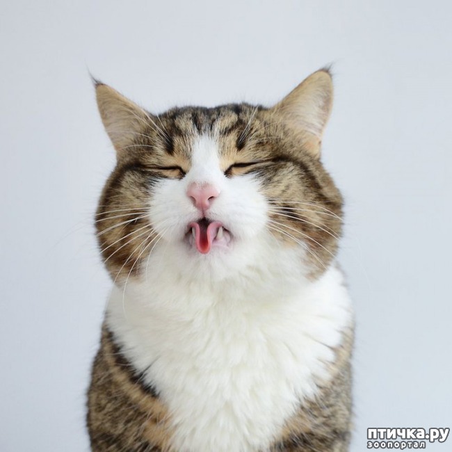 ���� 3: ���-������� ���� ��������� ��������� ������ ������������ �����