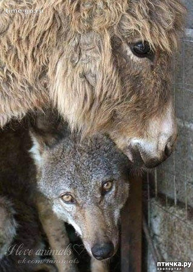 ���� 3: � ����� ��������� ������))) ���� � ������ �����...