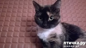 ����: ��� �������� �����.