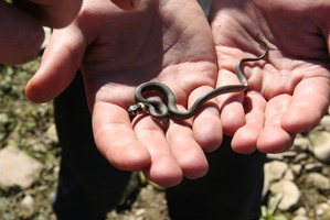 ����: � ����� ��� �������������