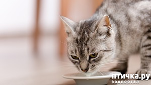 ����: ������ ������ ������ ������ ������?