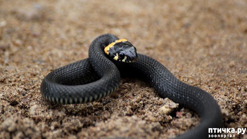 ���� 2: � ����� ��� �������������