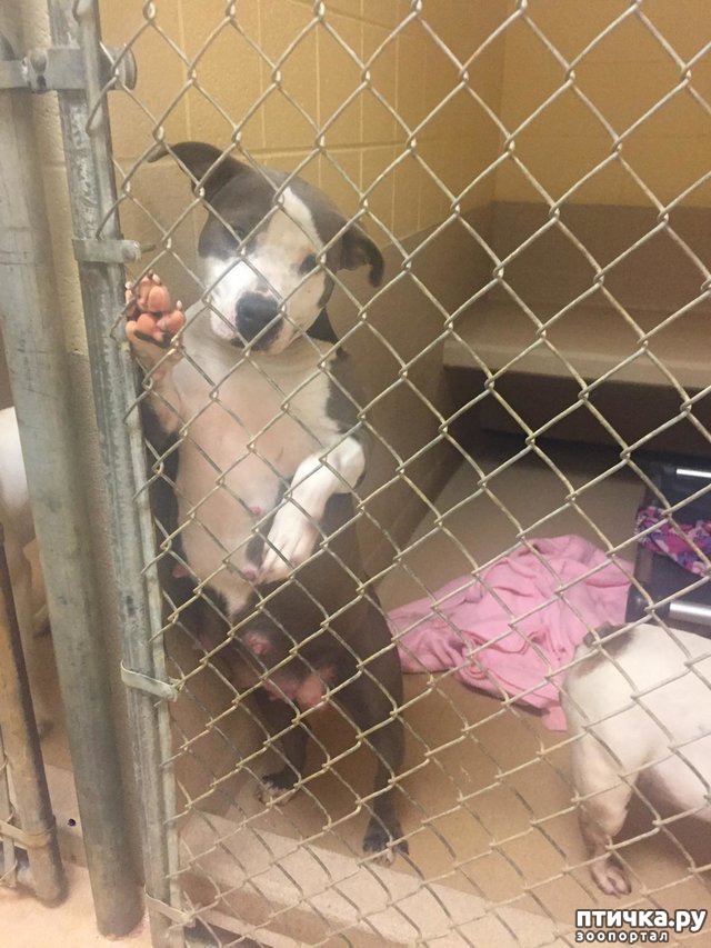 ���� 1: ��� ���� � ��������)