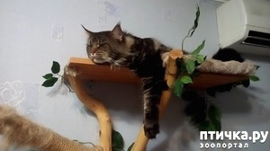 ����: �����������, �� ���������� ������)))