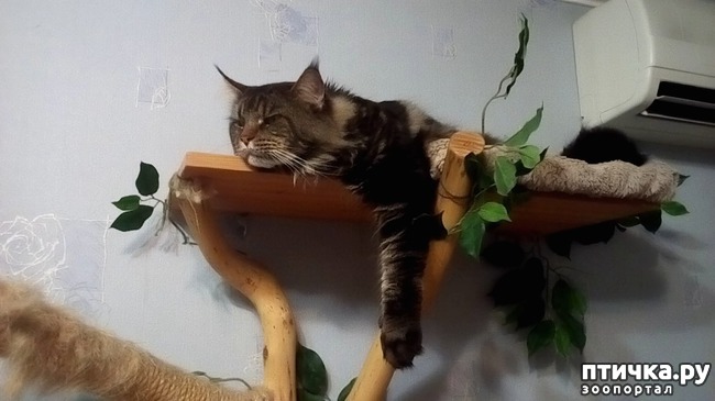 ���� 1: �����������, �� ���������� ������)))